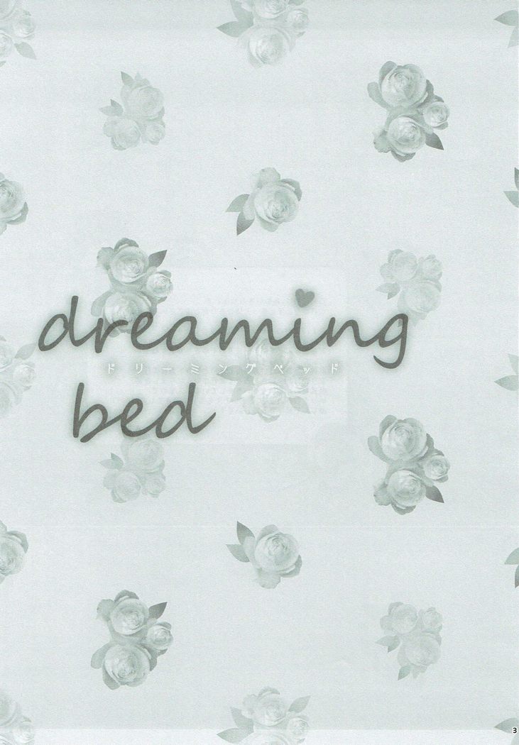 dreaming bed