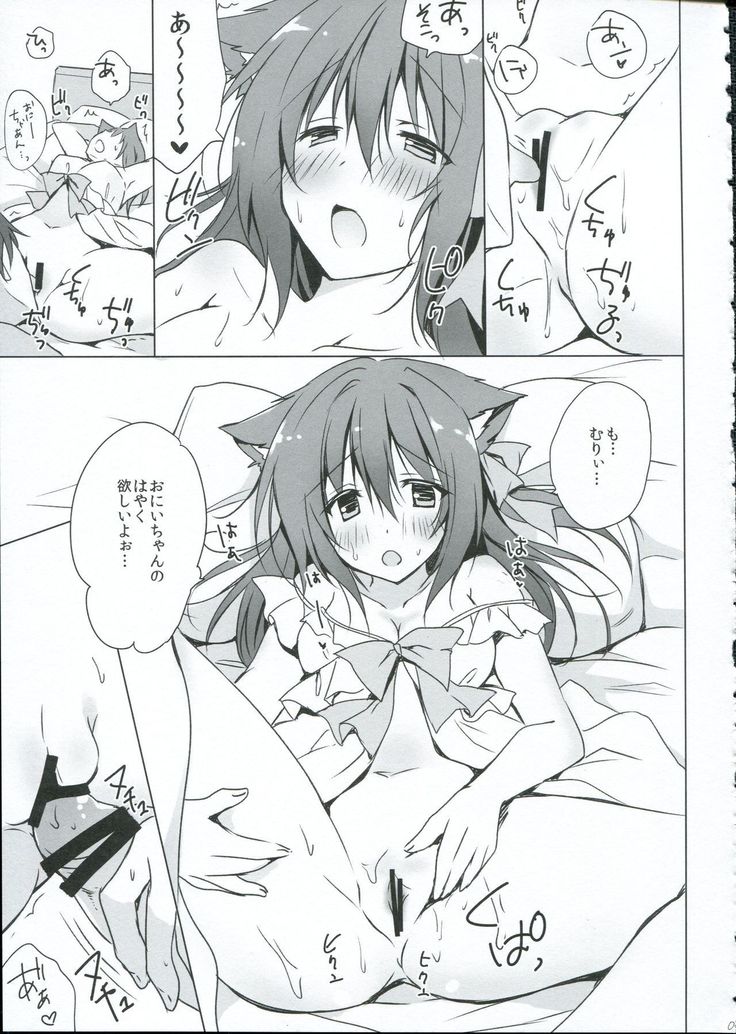 Uchi no nya n ko