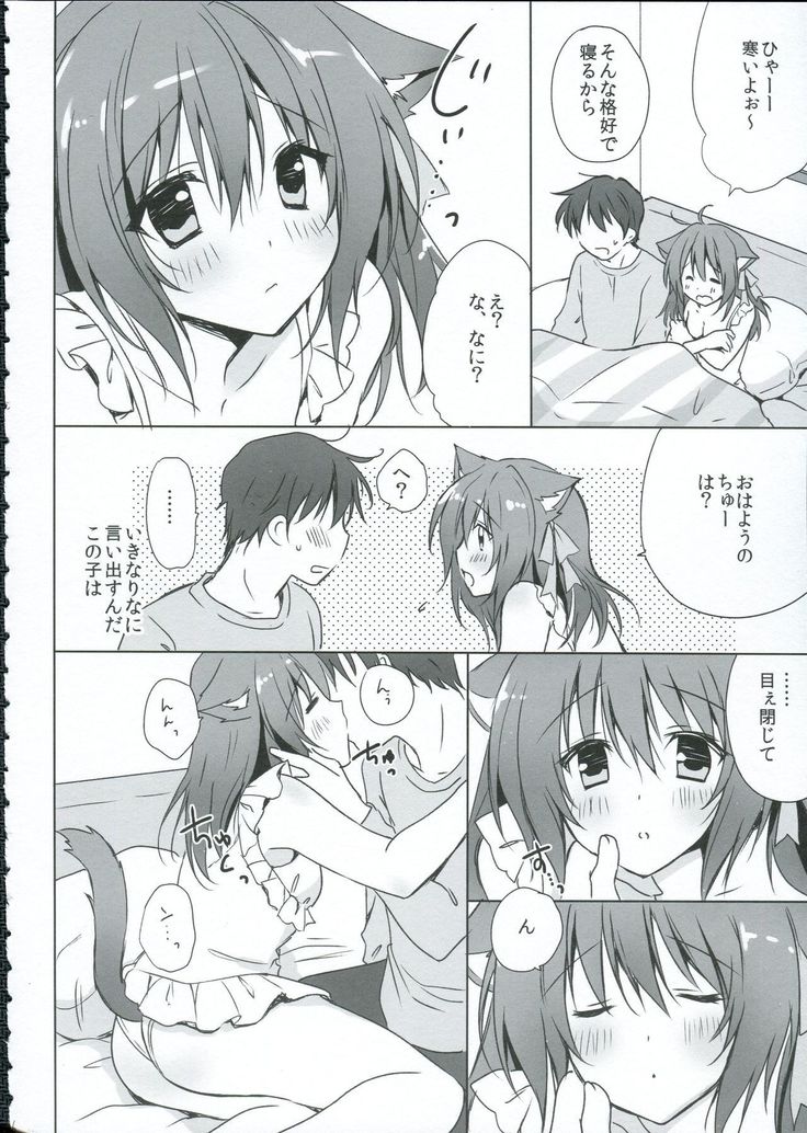 Uchi no nya n ko