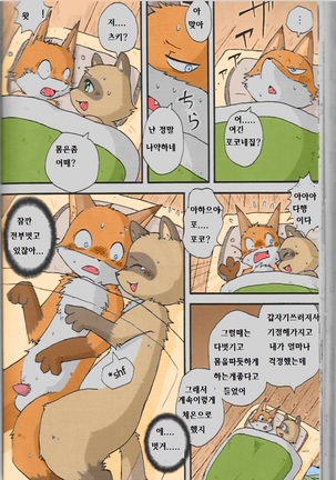 Image 3010041