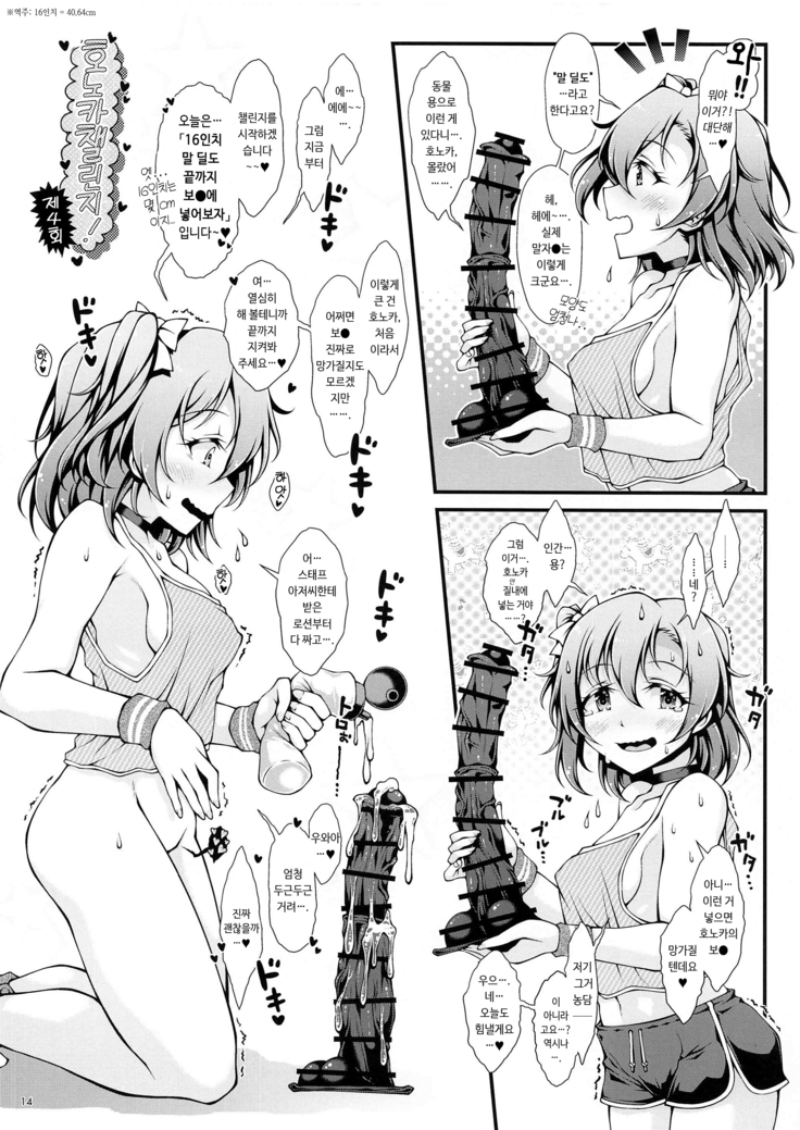Honoka Challenge! | 호노카 챌린지!