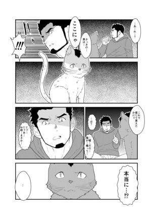 Tale of Bakeneko