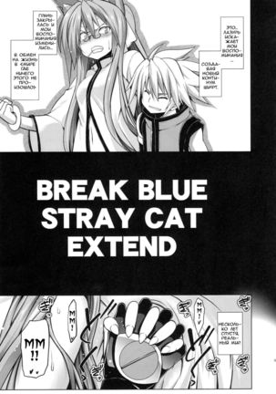 BREAK BLUE STRAY CAT EXTEND