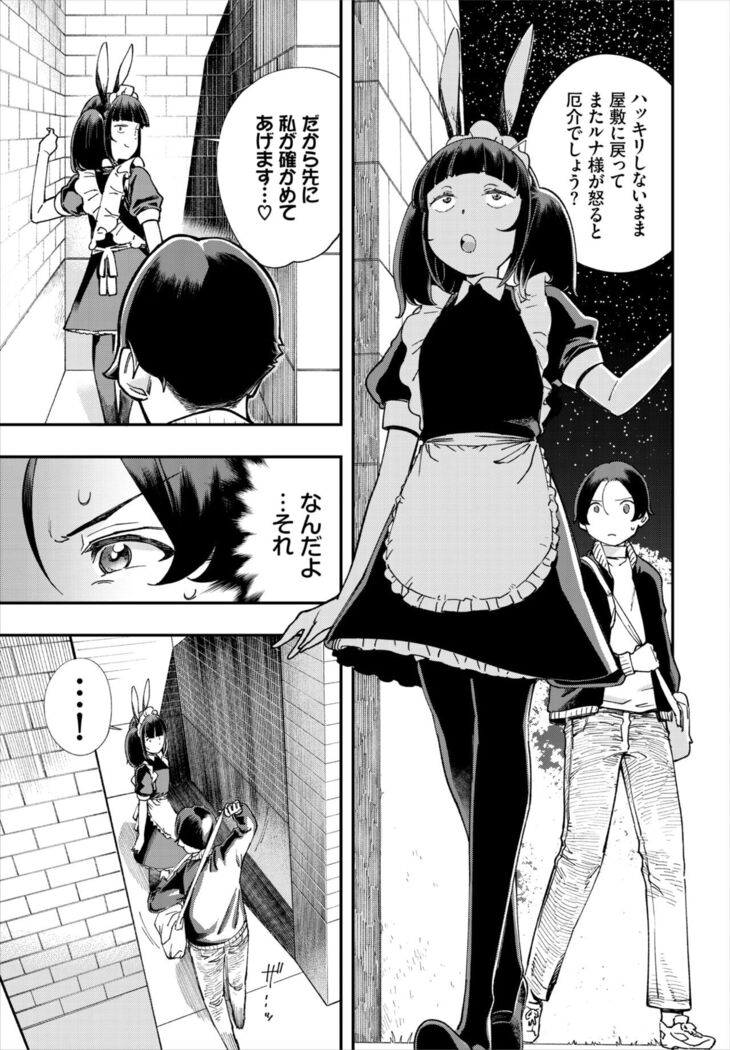 Dascomi Vol.19