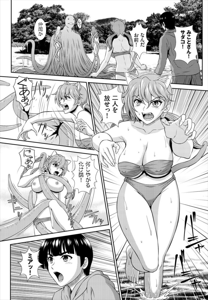 Dascomi Vol.19