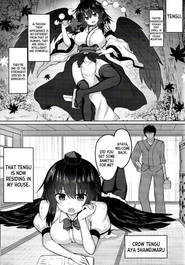 Tengu ga Ie ni Isuwatteru Ken