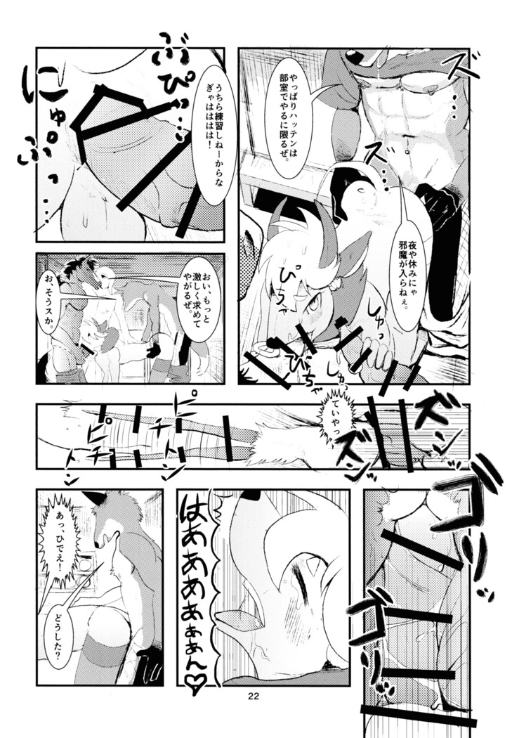 J2 Bottom ZOO