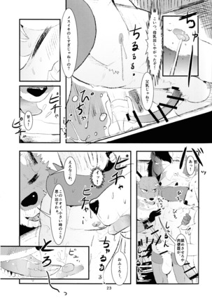 J2 Bottom ZOO Page #22