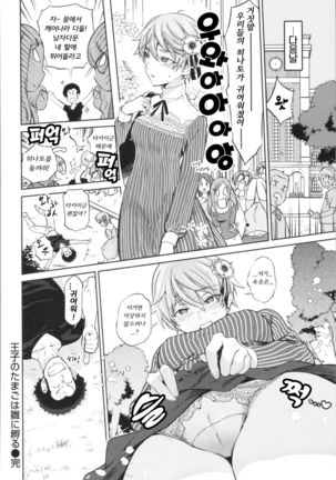Oujino Tamago wa Hina ni Kaeru - Page 17
