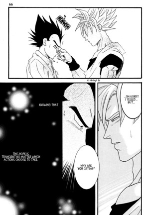 Dragon Ball dj – Muimi na Kiiro 1 Page #65