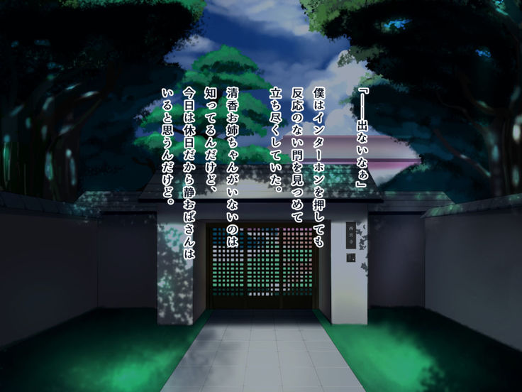 Seiso Ojousama Oyako no Netorare Life