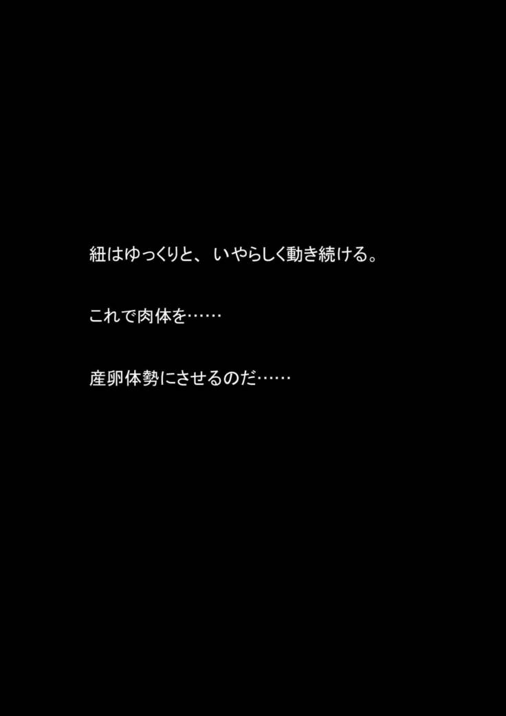 Nyoutaika Sousakan VS Meido Kata Eirian Vol 2