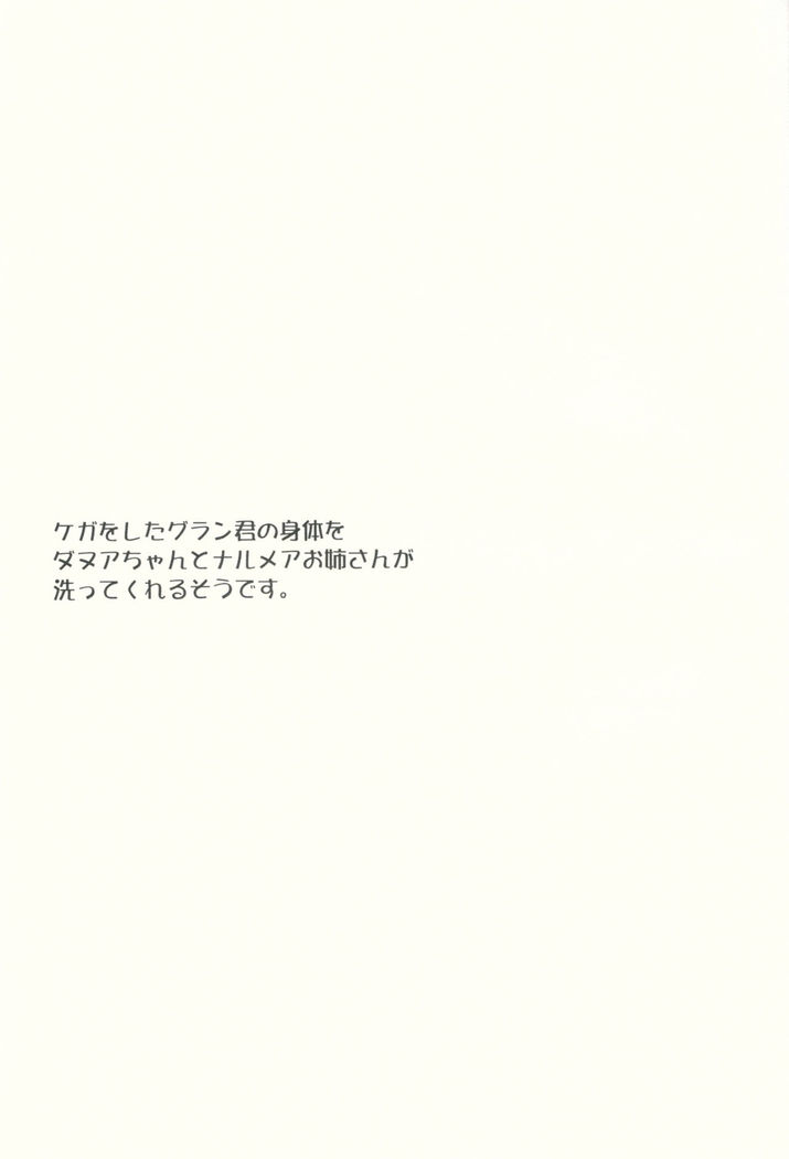Kega o Shita Gran-kun no Karada o Danua-chan to Narumea Onee-san ga Aratte Kureru Sou desu.