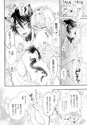 覚醒志願/カクセイシガン - Page 21