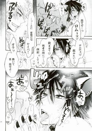 覚醒志願/カクセイシガン - Page 25