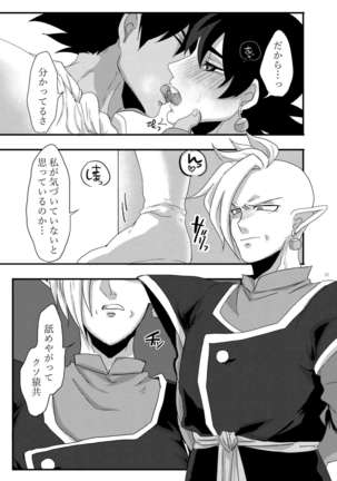 inp Page #22
