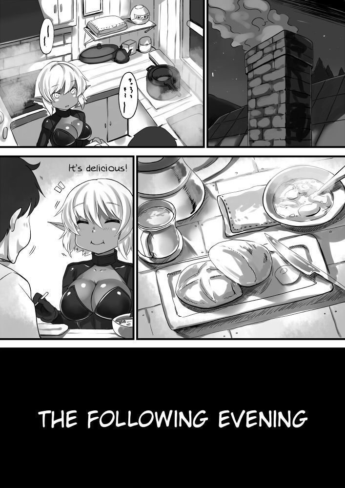 Dark Elf-chan to no Seikatsu Manga Hen | The Daily Life with a Dark Elf