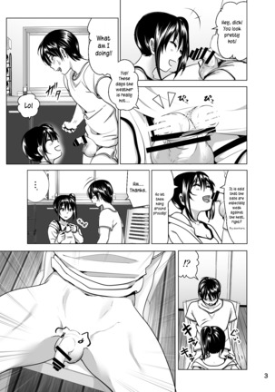 Imouto no Oppai ga Marudashi Datta Hanashi 5 - Page 4