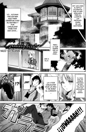 Sister Breeder -Melonbooks + Toranoana Gentei Tokuten- - Page 92