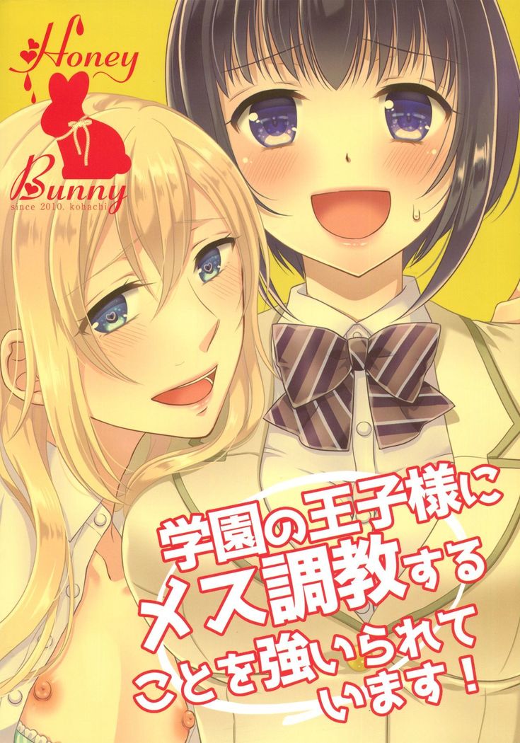 Gakuen no Ouji-sama ni Mesu Choukyou suru Koto o Shiirareteimasu! | Being Coerced Into Training The Prince of The School How To Be a Woman