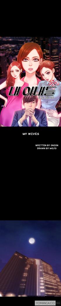 My Wives Ch.1-35