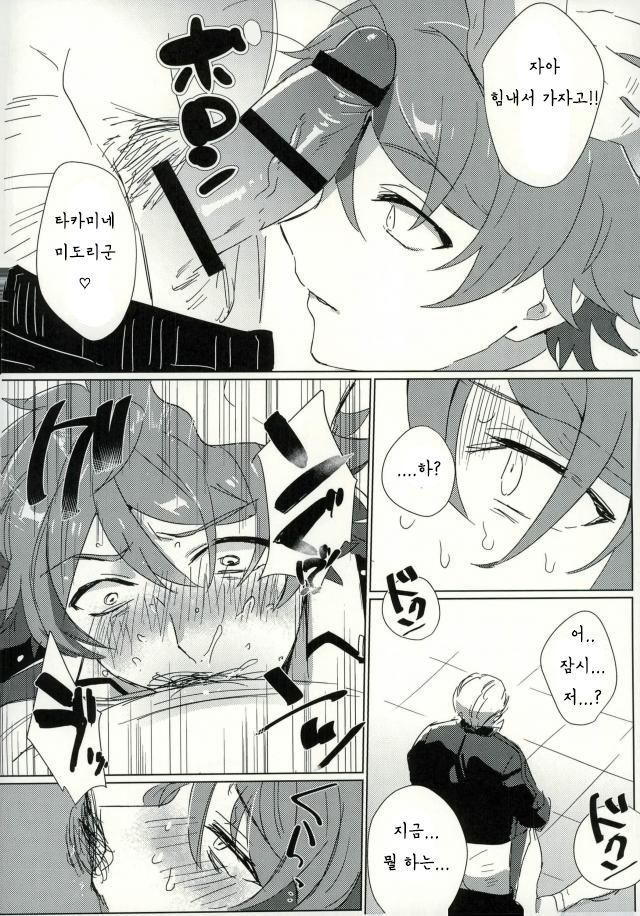 Takamine midori to himitsu no lesson