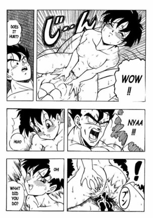 Dragon Ball H 03 - Page 19