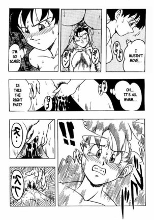 Dragon Ball H 03 Page #17