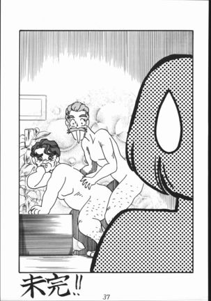 A・PEX Page #36