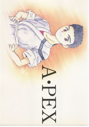 A・PEX Page #40