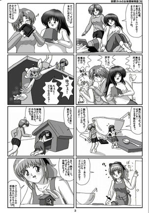 Yousei ritoru no nyoutai tanken monogatari  zenhan + kouhan - Page 3