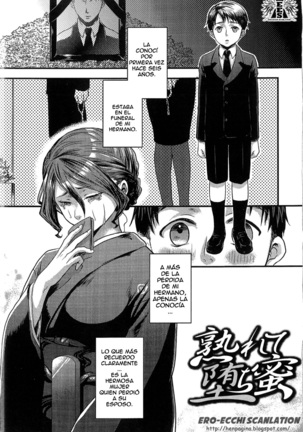 Aisare Shouwaru Love Bitch -My Lovely Bitch- - Page 169