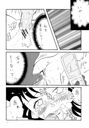 Chikan Densha Page #33