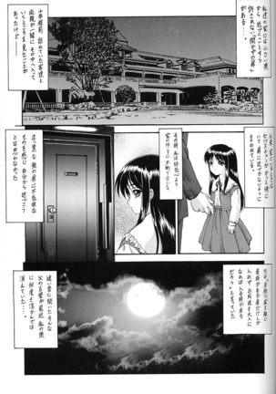 Y-SELECTION Page #26