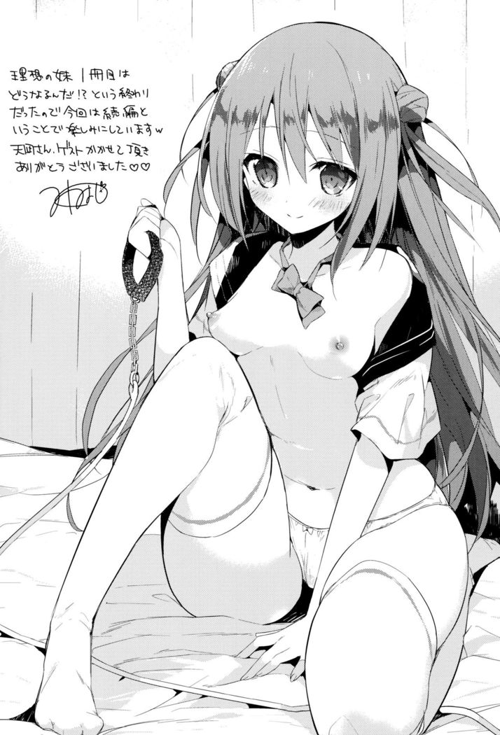 Risou no Imouto 2