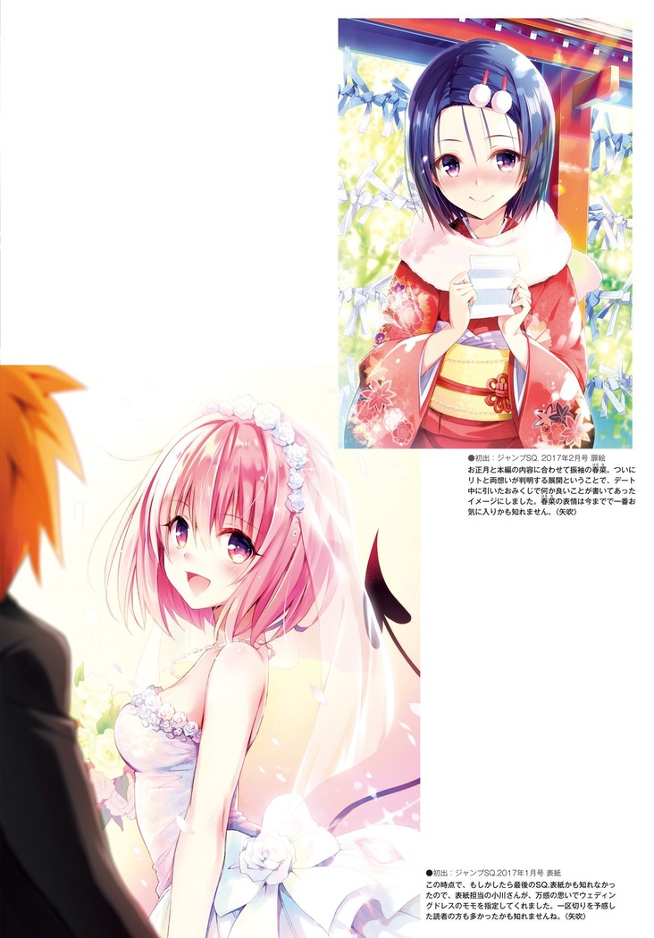 To Love-Ru Series 10th Anniversary Book Chronicle