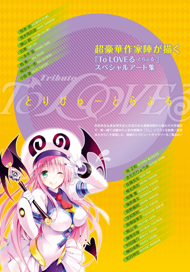 To Love-Ru Series 10th Anniversary Book Chronicle