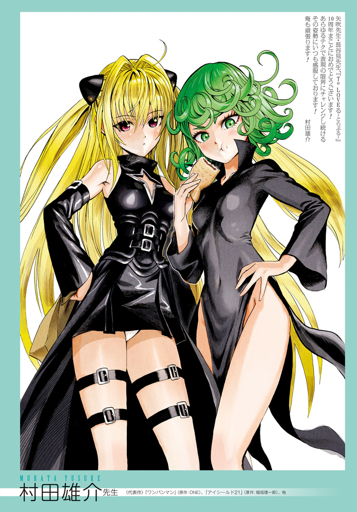 To Love-Ru Series 10th Anniversary Book Chronicle