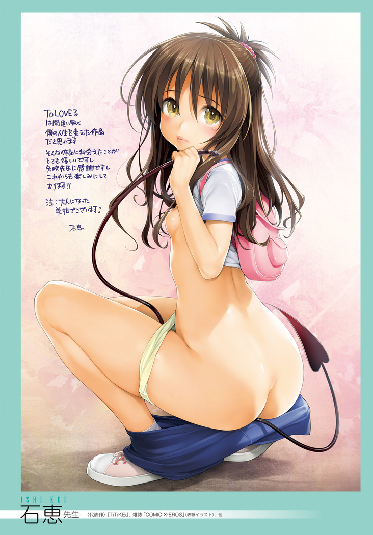 To Love-Ru Series 10th Anniversary Book Chronicle