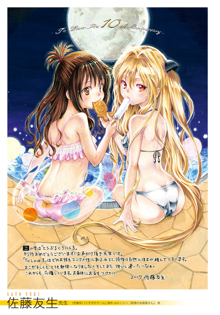 To Love-Ru Series 10th Anniversary Book Chronicle