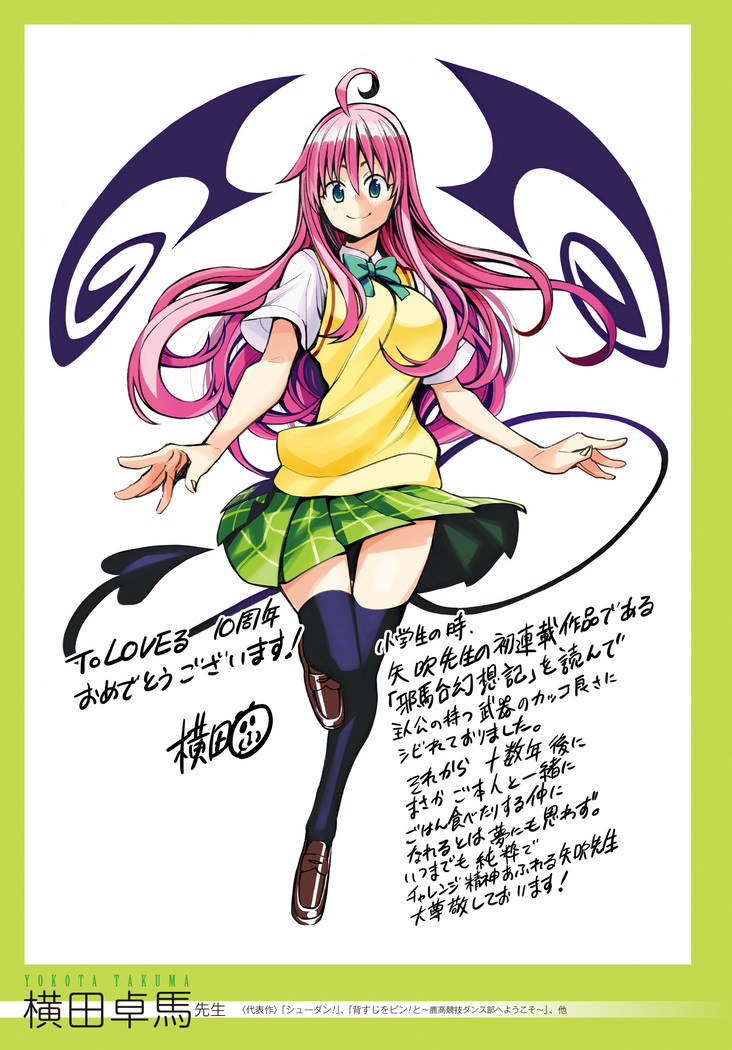 To Love-Ru Series 10th Anniversary Book Chronicle