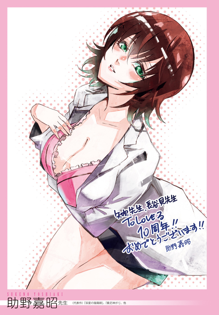 To Love-Ru Series 10th Anniversary Book Chronicle