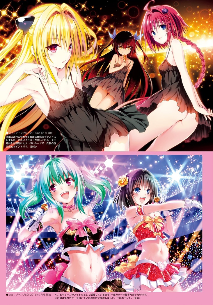 To Love-Ru Series 10th Anniversary Book Chronicle