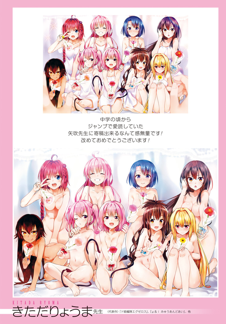 To Love-Ru Series 10th Anniversary Book Chronicle