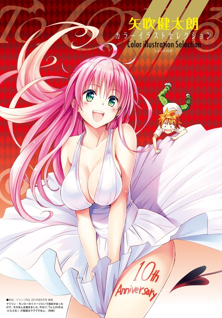 To Love-Ru Series 10th Anniversary Book Chronicle