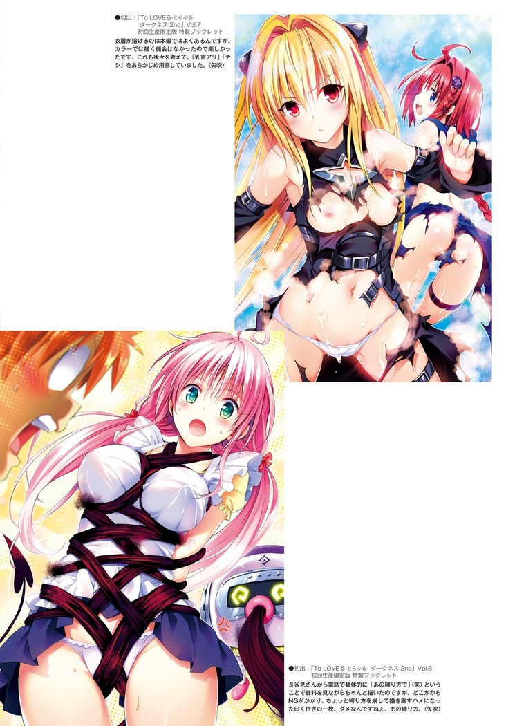 To Love-Ru Series 10th Anniversary Book Chronicle