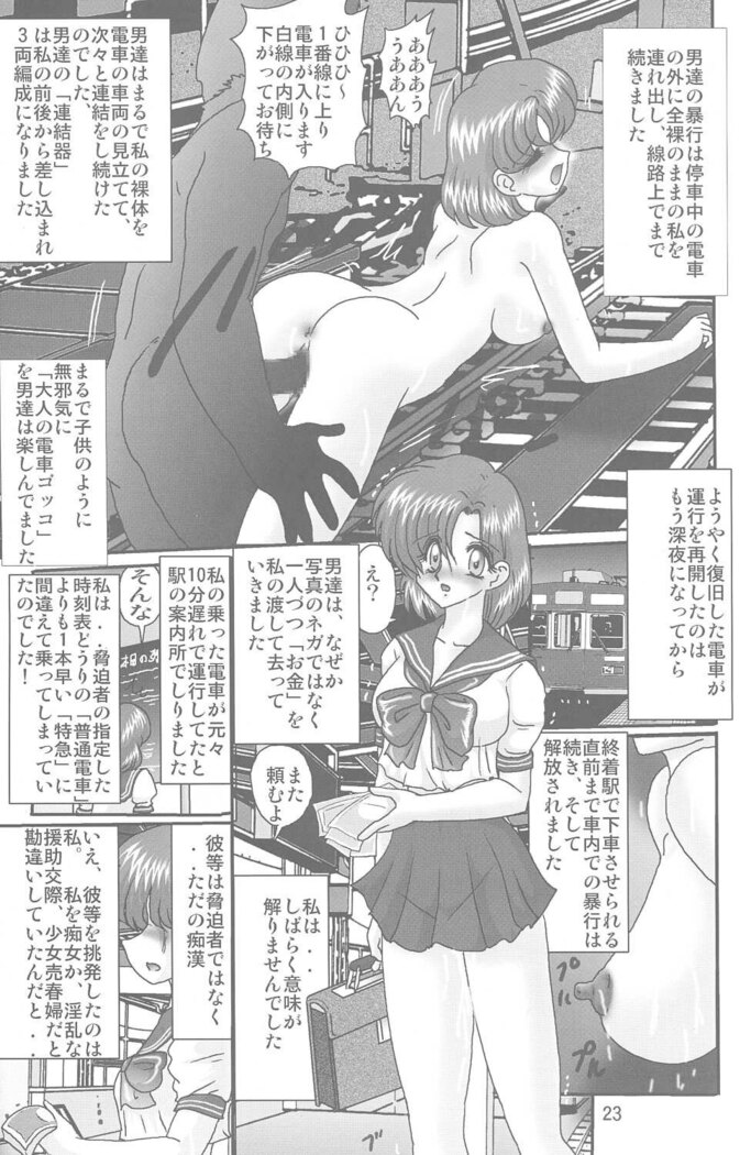 Mizuno Ami Nikki S