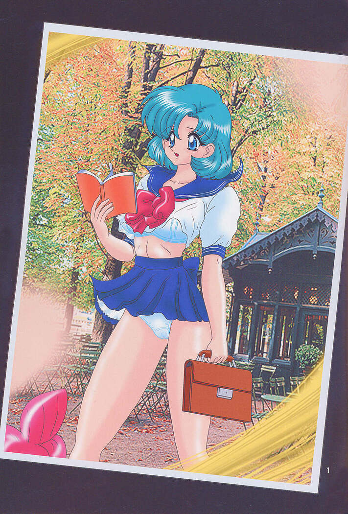 Mizuno Ami Nikki S