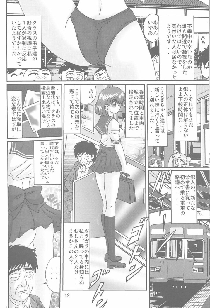 Mizuno Ami Nikki S
