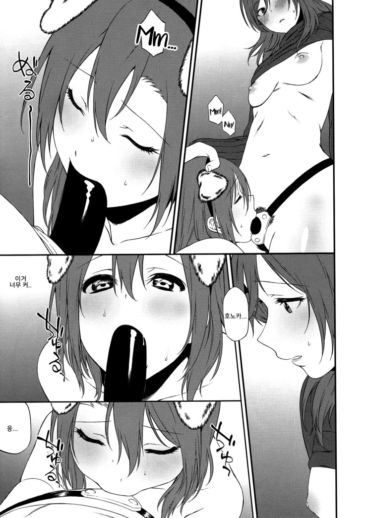 Inu no Honkai, Shitsuke no Honshitsu   The Dog's Desire and the Reality of Discipline